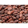 Cocoa/ Cacao/ Chocolate bean from Thai is the best