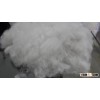 Polyester Fiber