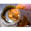 Palm Acid Oil