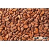 Dried raw Cocoa Beans