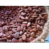 Coco Beans from Africa