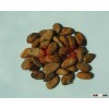 Indonesia raw cacao beans