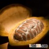 RAW COCOA BEANS - GRANOS DE CACAO