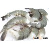 BLACK TIGER HLSO, HOSO, PUD, PND, EZ PEEL, HARINA PUD