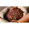 Cocoa beans