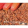 COCOA BEANS