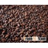 Cocoa Beans