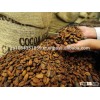 Cocoa beans for sale