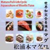 Sea food called sea of Black Diamond's designation for Matsuura bluefin tuna.
