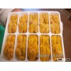 Red and Purple Sea Urchin Roe