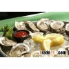 Oyster
