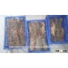 Rock Lobsters/Seafood/Fresh Lobsters!