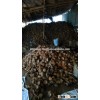 raw coconut shell