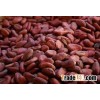 fermented cacao beans davao