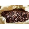 fresh cocoa beans