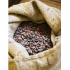 COCOA