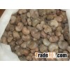 CASHEW NUT