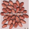 Cocoa Beans