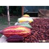 Cocoa Beans