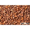 High Quality Roasted Cocoa Beans Available for ExPort