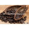 CACAO BEANS