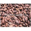 cocoa beans