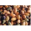 Cocoa Beans