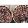 50m/t of Cocoa beans available for sale