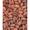 Cocoa Bean