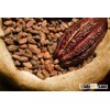 High Quality Cocoa Beans