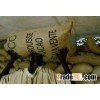 COCOA BEANS