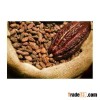 Organic Cocoa from Peru