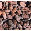 Cocoa Bean