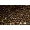 cocoa bean,coffe,kola,palm nuts,corn