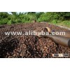 Dry Cocoa Bean procduct