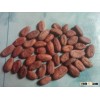 CACAO BEANS