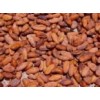 Organic Cacao Beans