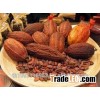 Cocoa Bean