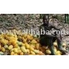 agriculture produce