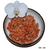Cacao Organic Raw Highest Quality Ecuadorian Nacional beans
