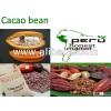 honest cacao