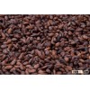 MODERATE PRICE FOOD COCOA BEANS FOR SALE