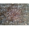 Cocoa nibs