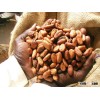 cocoa beans