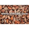 cacao