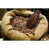 Raw Organic Cacao (Cocoa) Beans or Nibs from the mountains of Colombia