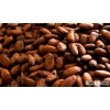 Cocoa Beans