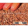 Cocoa Beans
