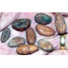 Forastero Cocao Bean
