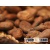 Cocoa Beans